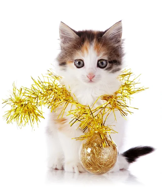 Gatito con una guirnalda festiva y una bola —  Fotos de Stock