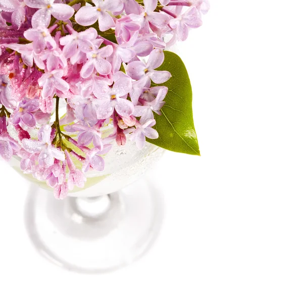 Lila boeket in een glas. — Stockfoto