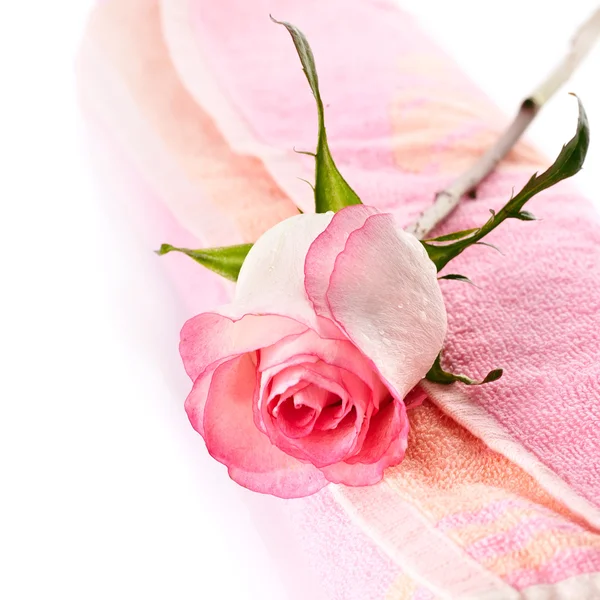 Pink rose and towel. — Stock Photo, Image