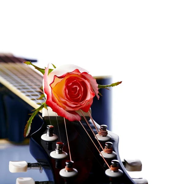 Guitar and rose. — Stock Photo, Image