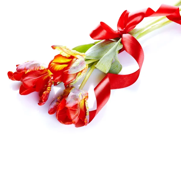 Bouquet of tulips with a red tape. — Stock Photo, Image