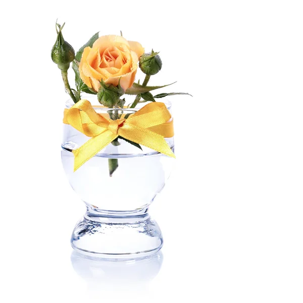 Yellow roses in a glass. — Stock Photo, Image