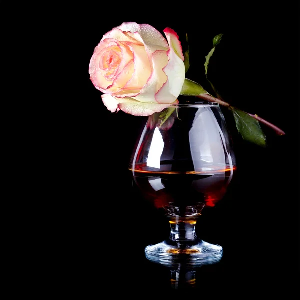Glass and rose. — Stock Photo, Image