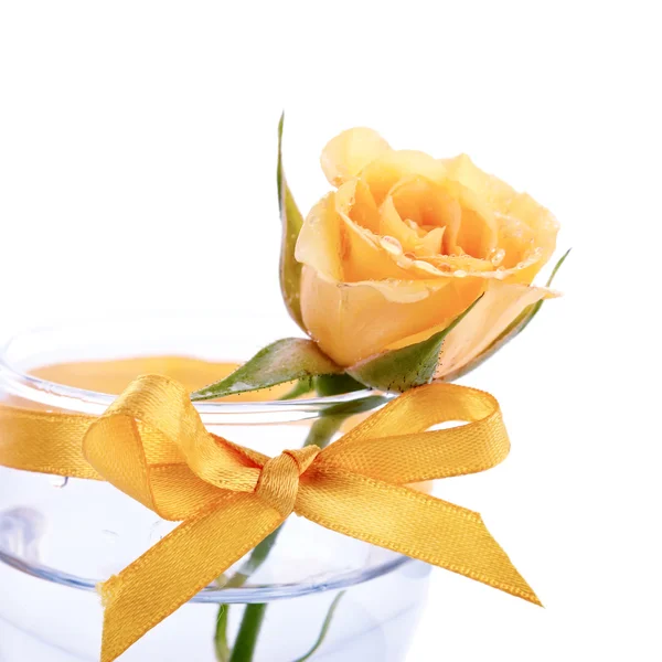 Yellow flower of a rose in a glass with a bow. — Stock Photo, Image