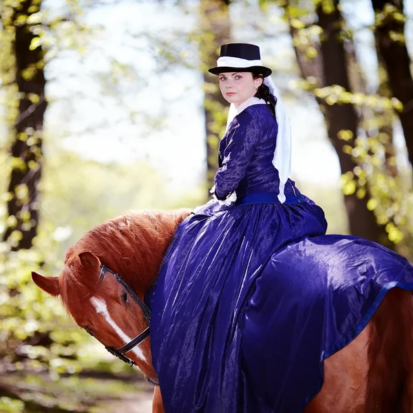 Retrato de la dama en un caballo rojo . — Foto de Stock