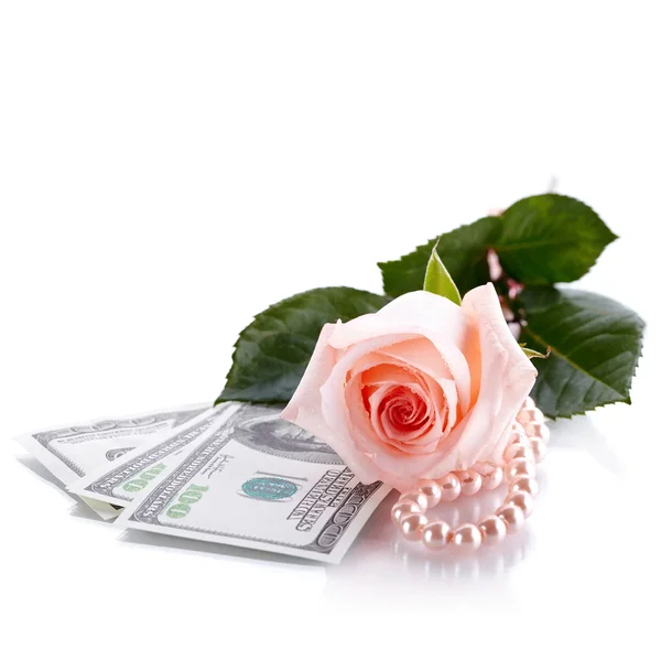 Pink rose, Dollars and pearl beads. — Stock Photo, Image