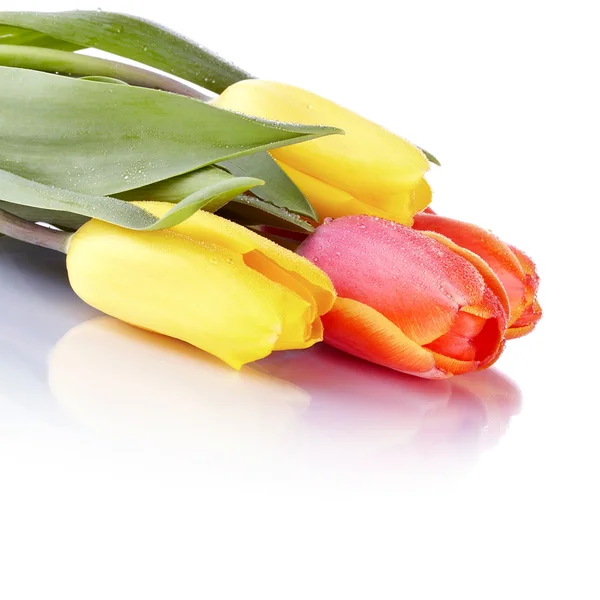 Bouquet di tulipani gialli e rossi . — Foto Stock