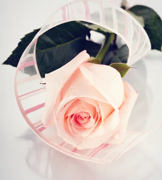 Rose with a tape. — Stock Photo, Image