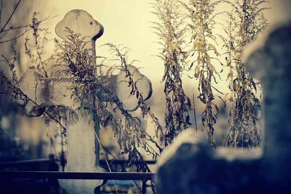 Vecchia Croce Sepolcrale Cimitero — Foto Stock