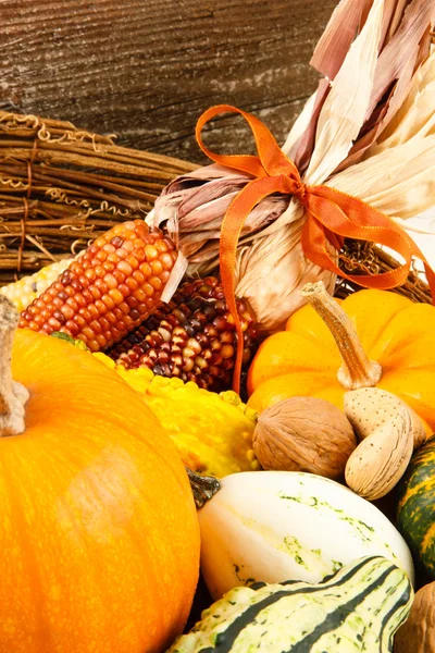 Podzim sklizní dekorace dýně, tykve a indické kukuřice — Stock fotografie
