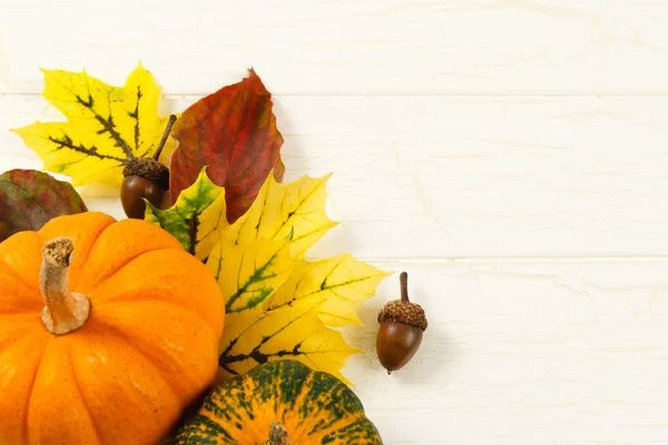 Primer plano de calabaza, hojas de otoño y callos Fotos De Stock Sin Royalties Gratis