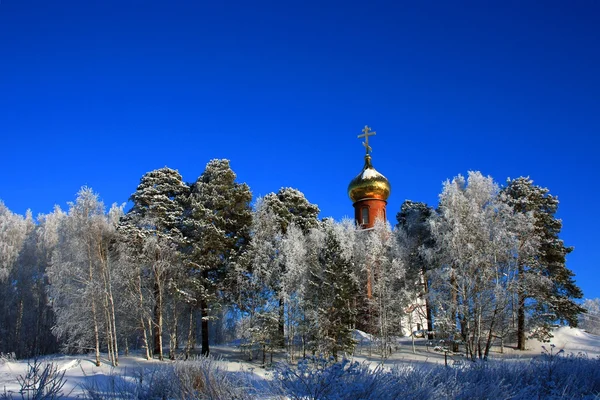 Ortodoxa kyrkan av snötäckta träd — Stockfoto