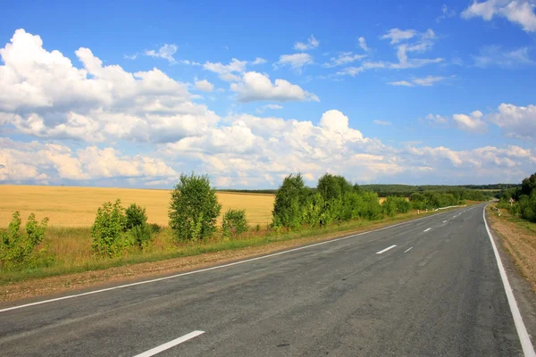 A estrada de asfalto deserta — Fotografia de Stock