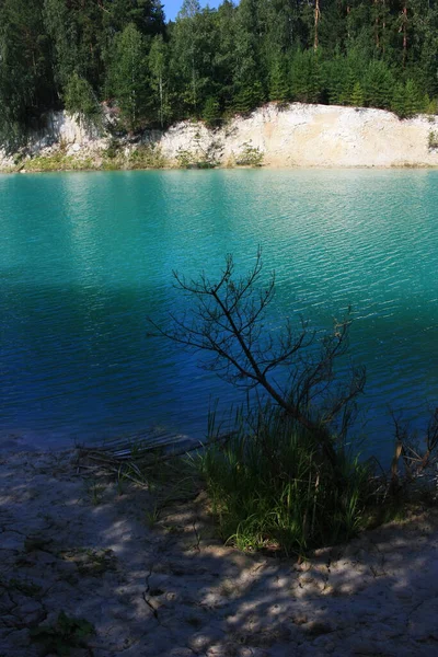 Turkuaz gölünün kıyısında ağaçlar yetişir.