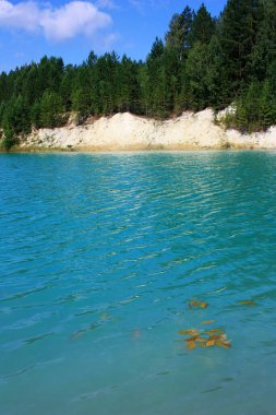 Turkuaz gölünün kıyısında ağaçlar yetişir.
