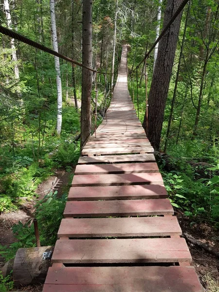 Puente Peatonal Madera Bosque — Foto de Stock