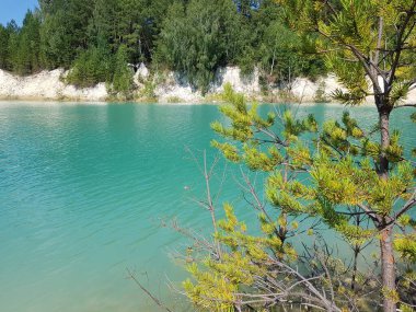 Turkuaz gölünün kıyısında ağaçlar yetişir.