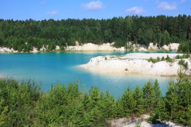 Turkuaz gölünün kıyısında ağaçlar yetişir.