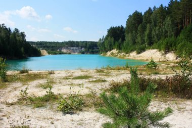 Turkuaz gölünün kıyısında ağaçlar yetişir.