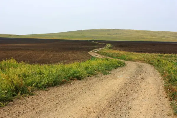 Грязная Дорога Зеленом Поле — стоковое фото