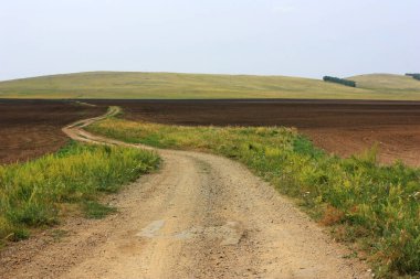 Yeşil bir tarlada toprak köy yolu