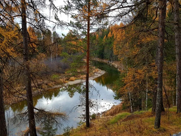 Stromy Rostou Skalnatém Břehu Řeky — Stock fotografie