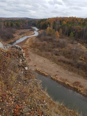 Kayalık nehir kıyısında ağaçlar yetişir.