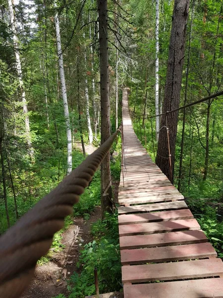 Antiguo Puente Peatonal Madera Bosque — Foto de Stock