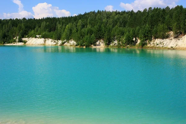 Des Arbres Poussent Sur Les Rives Lac Turquoise — Photo