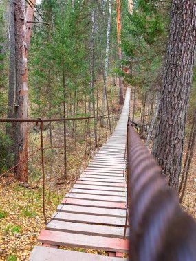 Ormanda tahta ayak asma köprüsü