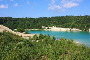 Turkuaz gölünün kıyısında ağaçlar yetişir.