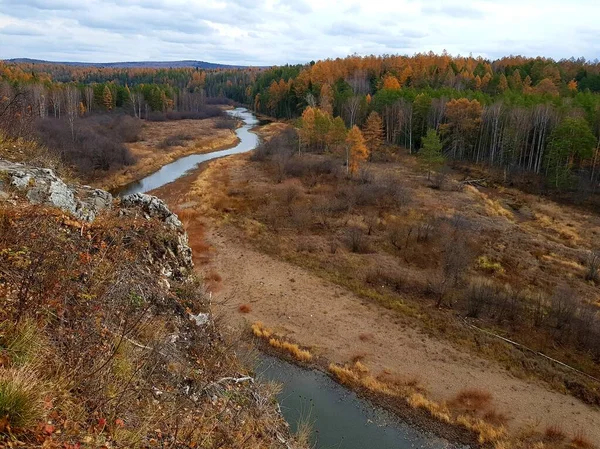 Träd Växer Den Steniga Flodstranden — Stockfoto