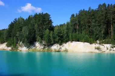 Turkuaz gölünün kıyısında ağaçlar yetişir.