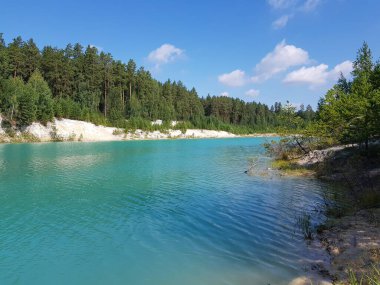 Turkuaz gölünün kıyısında ağaçlar yetişir.