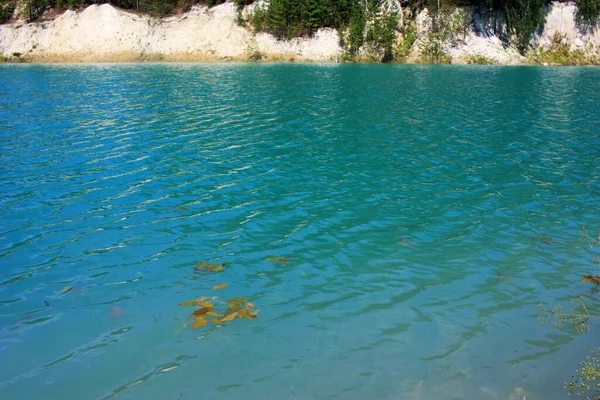 ターコイズブルーの湖のほとりに木が生えています — ストック写真