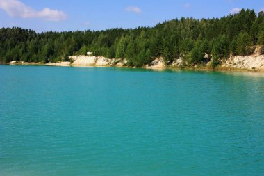 Turkuaz gölünün kıyısında ağaçlar yetişir.