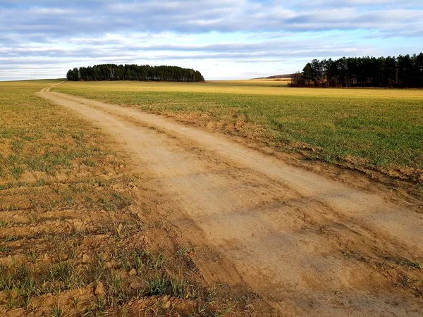 Αγροτικός Δρόμος Ένα Πράσινο Πεδίο — Φωτογραφία Αρχείου