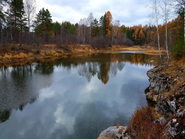 Stromy Rostou Skalnatém Břehu Řeky — Stock fotografie