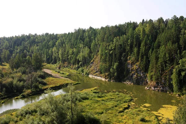 Fák Nőnek Sziklás Folyóparton — Stock Fotó