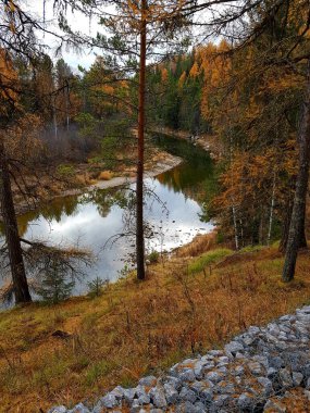 Kayalık nehir kıyısında ağaçlar yetişir.