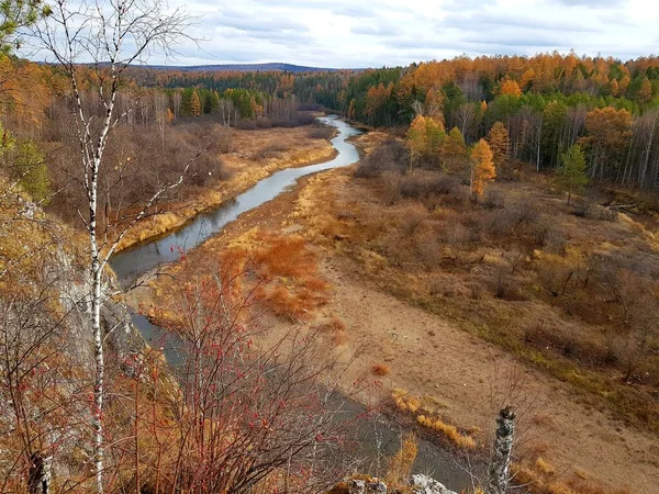 Träd Växer Den Steniga Flodstranden — Stockfoto