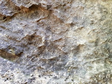 Yeşil liken gri bir kayanın üzerinde yetişir.