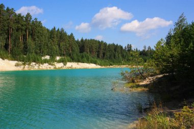 Turkuaz gölünün kıyısında ağaçlar yetişir.
