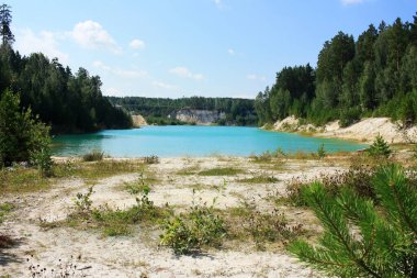 Turkuaz gölünün kıyısında ağaçlar yetişir.