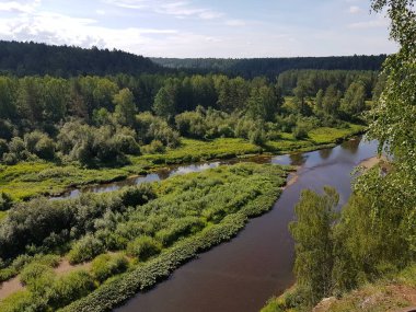 Kayalık nehir kıyısında ağaçlar yetişir.