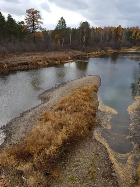 Los Árboles Crecen Orilla Rocosa Del Río —  Fotos de Stock