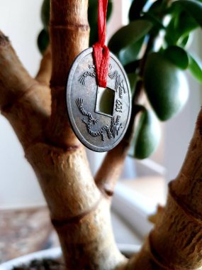 Çin parası, ağaçta asılı duran zenginlik için.