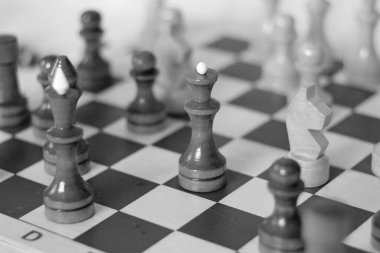 Satranç kralı taşı satranç tahtasına konur.