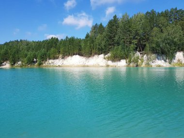 Turkuaz gölünün kıyısında ağaçlar yetişir.
