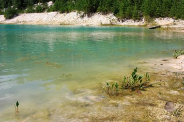 Turkuaz gölünün kıyısında ağaçlar yetişir.